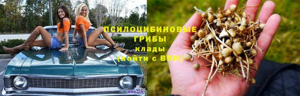 каннабис Дмитров