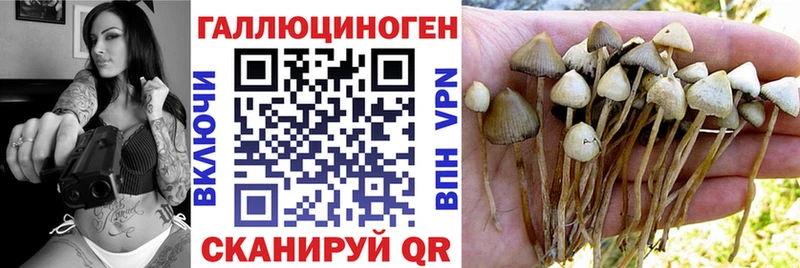 Купить  Полевской  Псилоцибиновые грибы мухоморы 